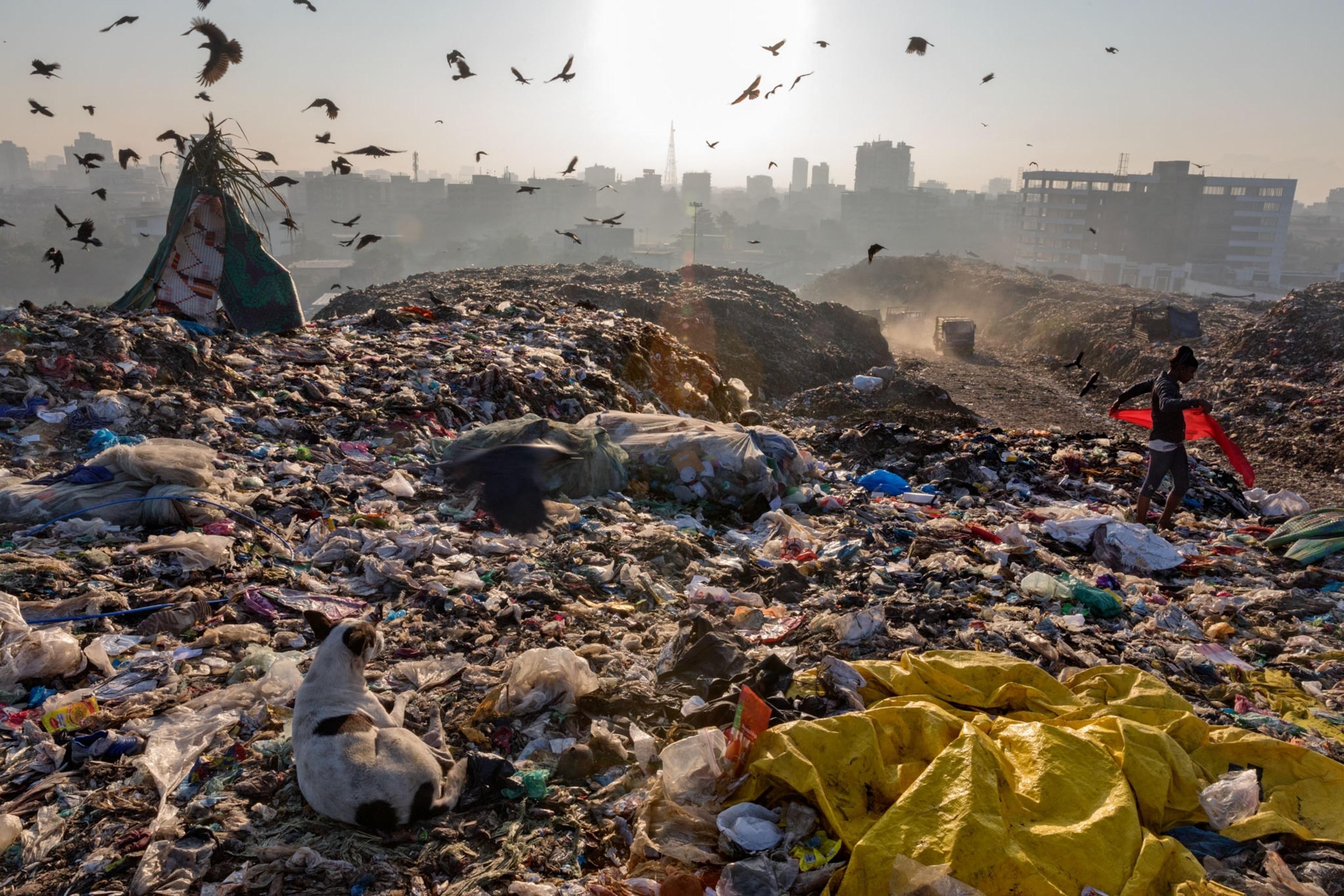 We Depend on Plastic. Now We're Drowning in It.