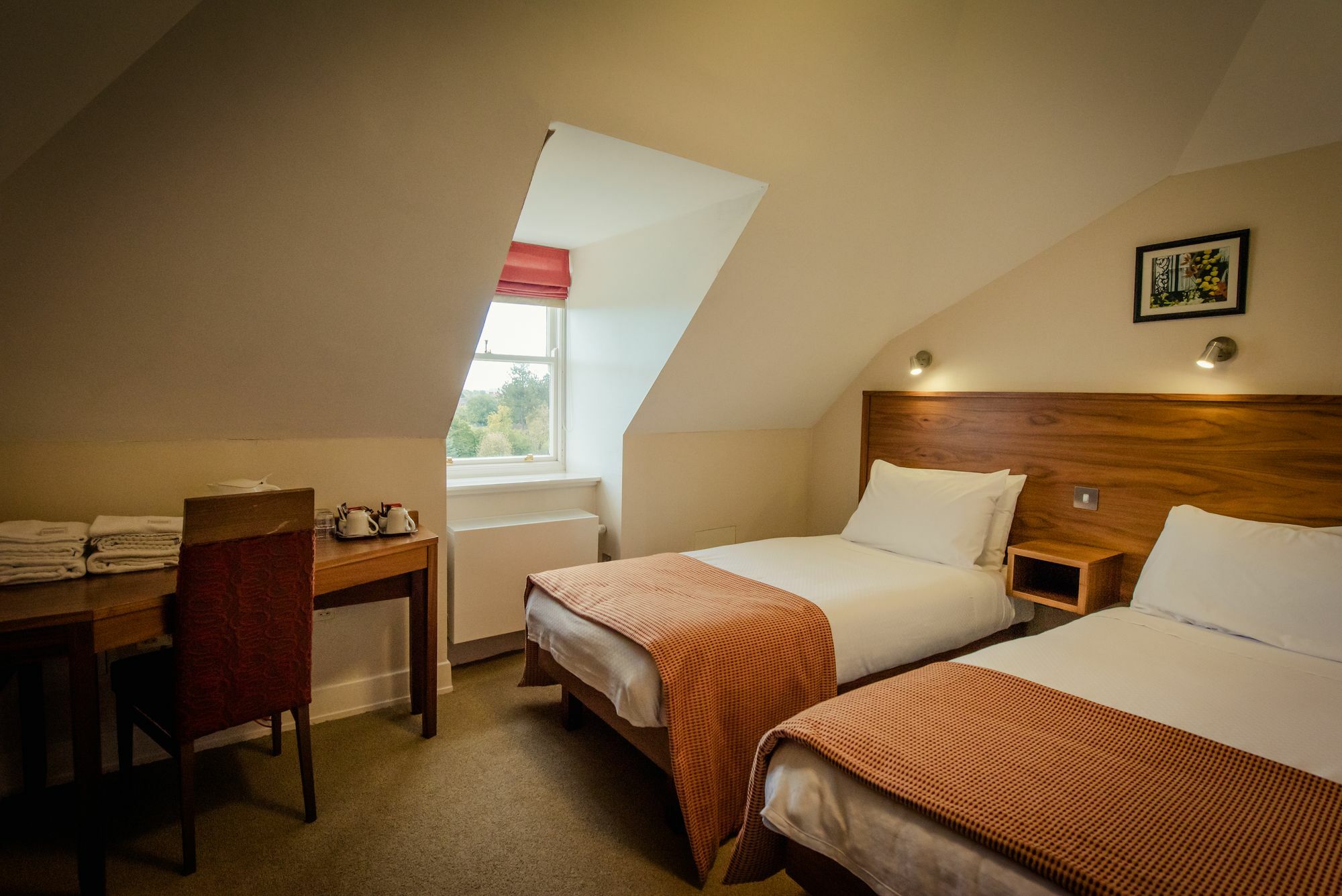 Standard Twin Room,608653444:JPEG